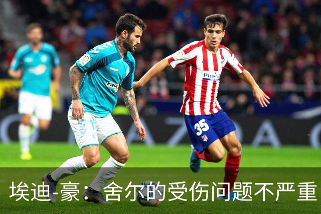 埃迪-豪：舍尔的受伤问题不严重；球队整体表现其实相当不错