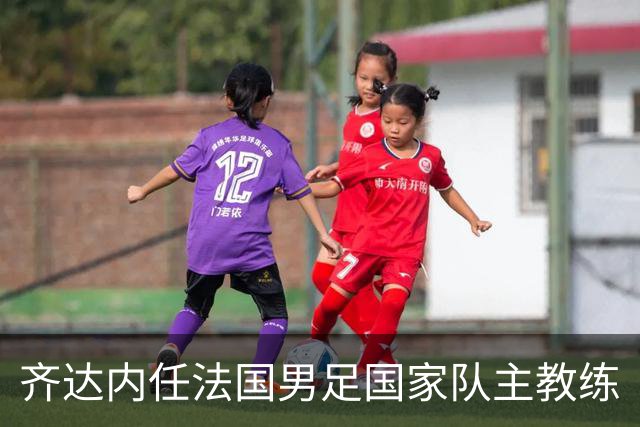 齐达内任法国男足国家队主教练